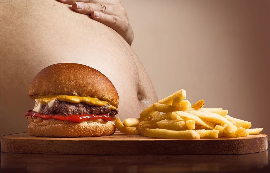 ハンバーガーと太った腹の画像