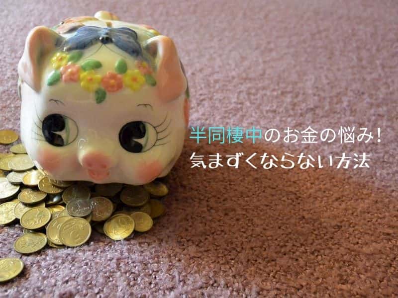 お金の悩みを解消して幸せに半同棲する方法